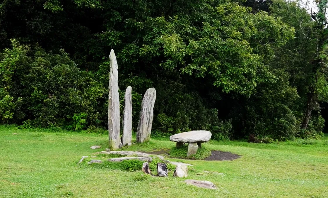 mawphland sacred forest meghalaya